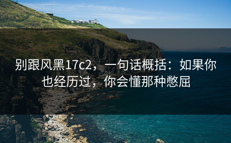 别跟风黑17c2，一句话概括：如果你也经历过，你会懂那种憋屈