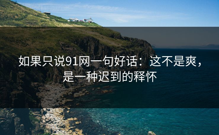 如果只说91网一句好话：这不是爽，是一种迟到的释怀