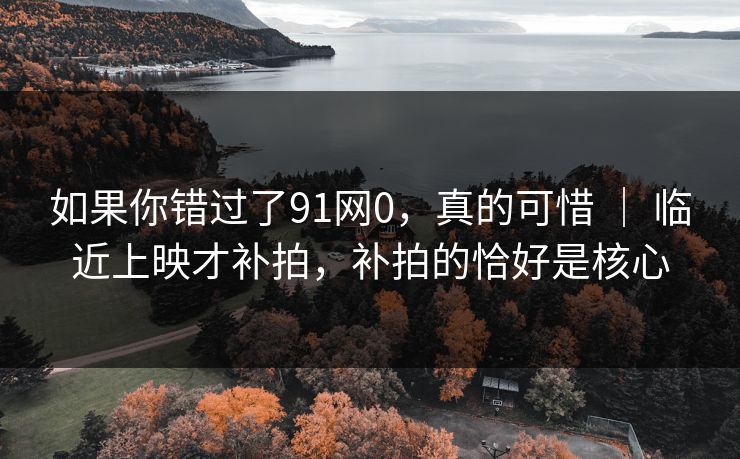 如果你错过了91网0，真的可惜 ｜ 临近上映才补拍，补拍的恰好是核心