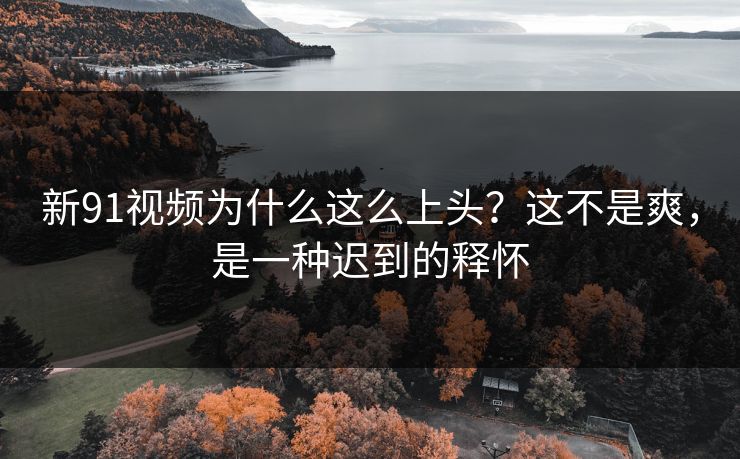 新91视频为什么这么上头?这不是爽,是一种迟到的释怀