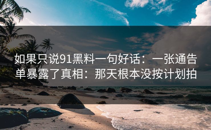 如果只说91黑料一句好话:一张通告单暴露了真相:那天根本没按计划拍