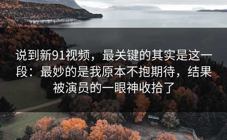 说到新91视频,最关键的其实是这一段:最妙的是我原本不抱期待,结果被演员的一眼神收拾了