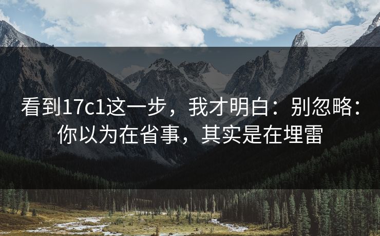 看到17c1这一步,我才明白:别忽略:你以为在省事,其实是在埋雷