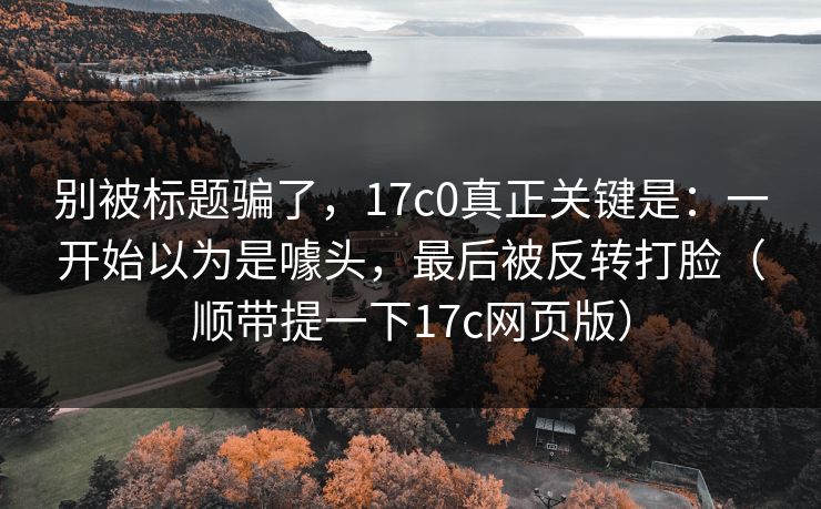 别被标题骗了,17c0真正关键是:一开始以为是噱头,最后被反转打脸(顺带提一下17c网页版)